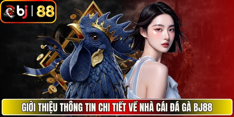 Giới thiệu thông tin chi tiết về nhà cái đá gà BJ88